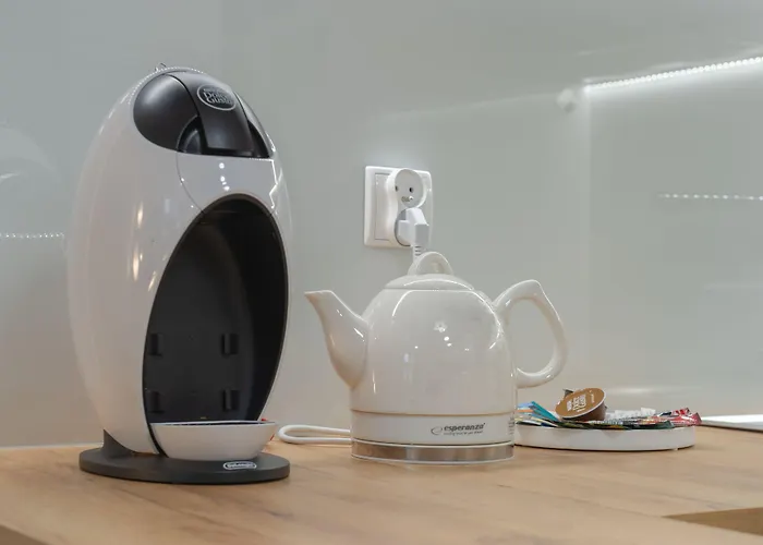 Native Augustianska 24 Daire Krakow