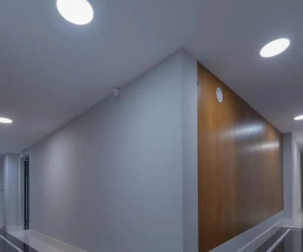 Native Augustianska 24 Daire *